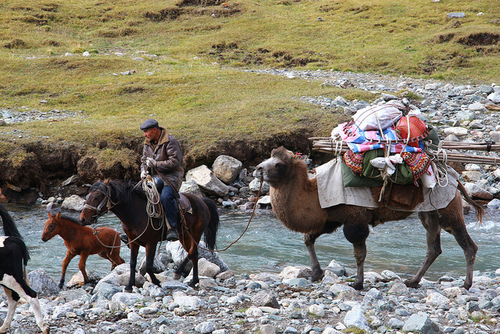 kazakstan-tian-shan-zfilmspro