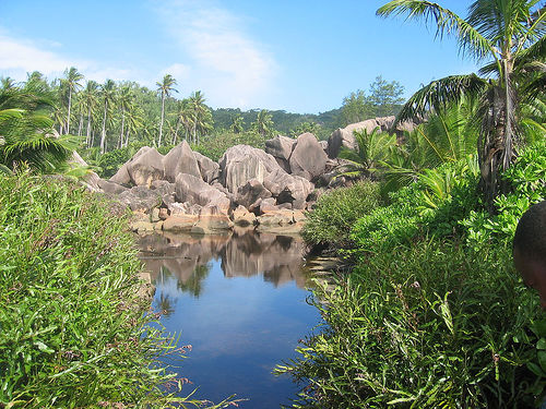 Laguuni Seychelleillä.