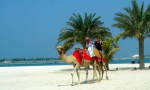 Kamelin selässä Abu Dhabissa.