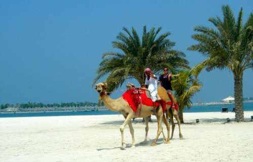 Kamelin selässä Abu Dhabissa.