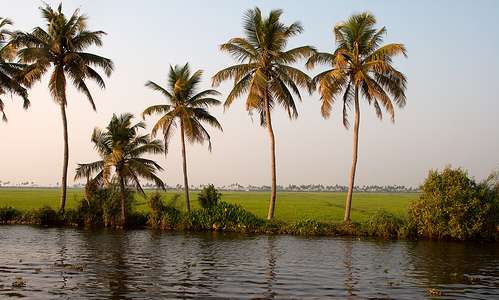 Keralan takavesiä.