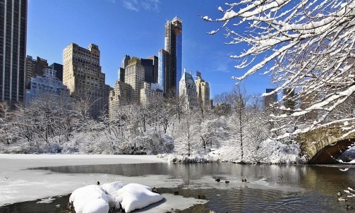 Central Park, New York