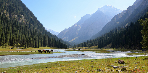 Karakol