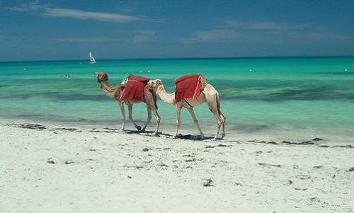 djerba-alex-and-max