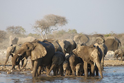 Namibia