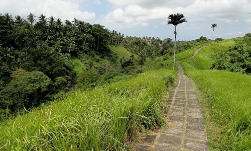 ubud-campuhan-ridge-fabio-achilli