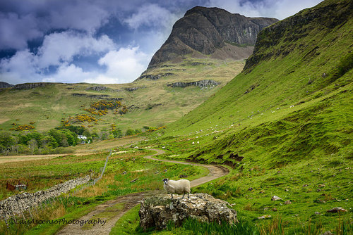 skye-luis-ascenso