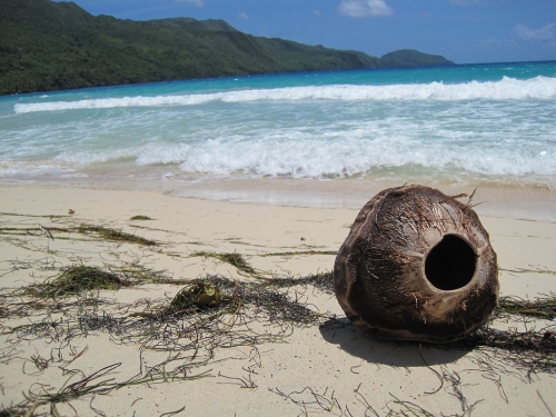 domrep-las-galeras-brent-500px