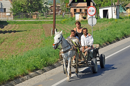 romania-dennis-jarvis